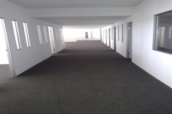 WhatsApp Image 2017-10-10 at 09.58.35.jpeg